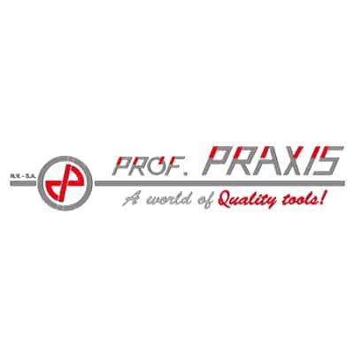 Prof-Praxis